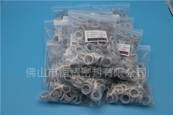 HOB、HVB孔用泛塞封 (17)