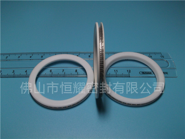 HVF、HVG端面内、外向泛塞封 (10)