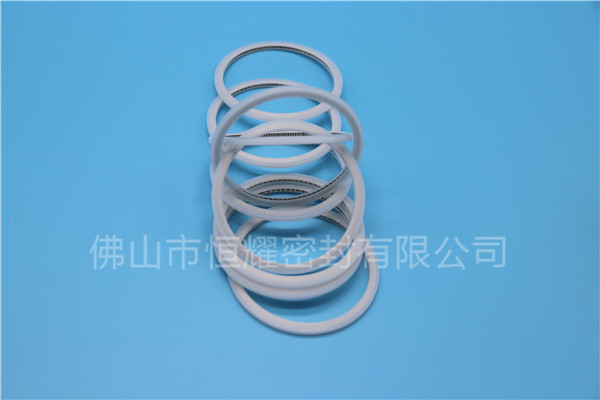 HVF、HVG端面内、外向泛塞封 (15)