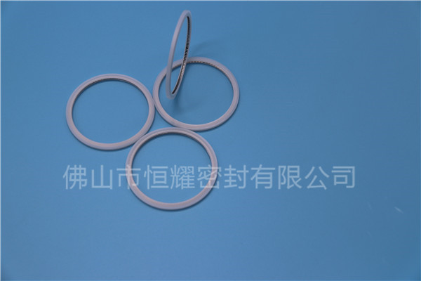 HVF、HVG端面内、外向泛塞封 (20)