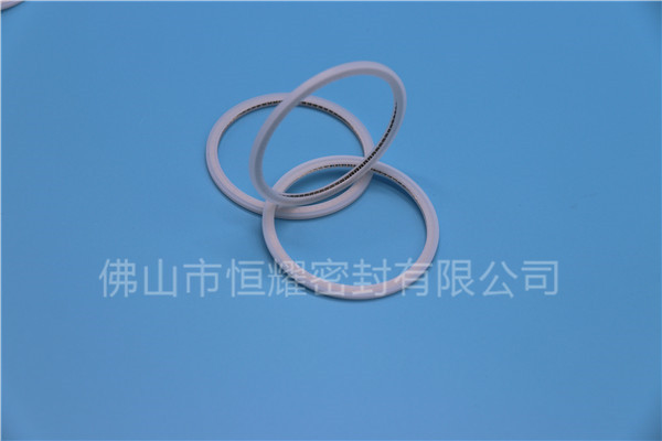 HVF、HVG端面内、外向泛塞封 (21)