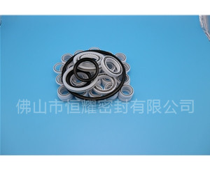 HOB、HVB孔用泛塞封 (6)