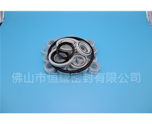 HOB、HVB孔用泛塞封 (7)