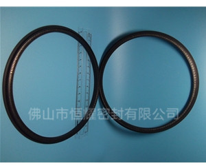 HOD、HVD旋转泛塞封 (13)