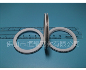 HVF、HVG端面内、外向泛塞封 (10)