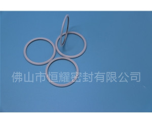 HVF、HVG端面内、外向泛塞封 (20)