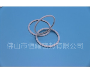 HVF、HVG端面内、外向泛塞封 (21)